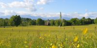 Leggi tutto: Slideshow in home page Bose