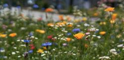 Foto di Ingo Doerrie su Unsplash