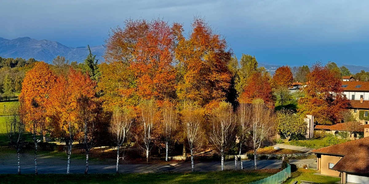 004_25_bose_autunno_4