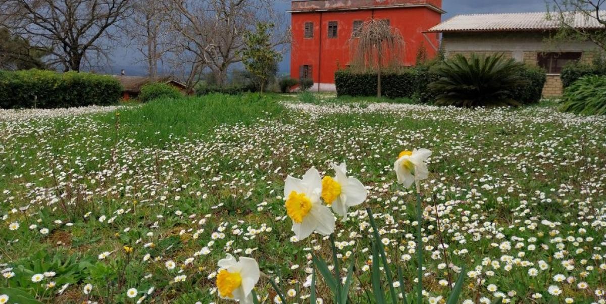 06-fiori_con_san_benedetto