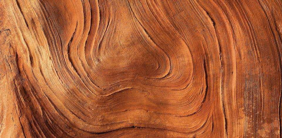 Foto di Alex Kalinin su Unsplash