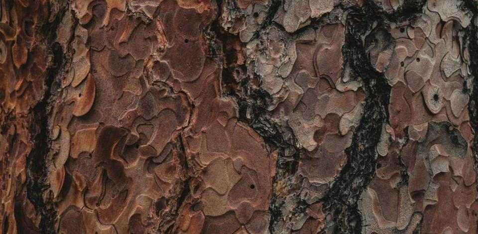 Foto di Yann Allegre su Unsplash