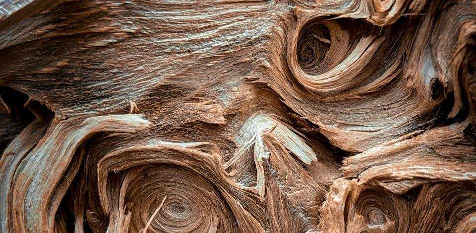 Foto di John Doyle su Unsplash