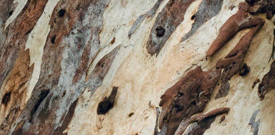 Foto di James Wainscoat su Unsplash