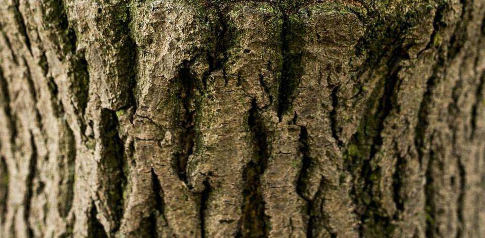 Foto di Jude Infantini su Unsplash