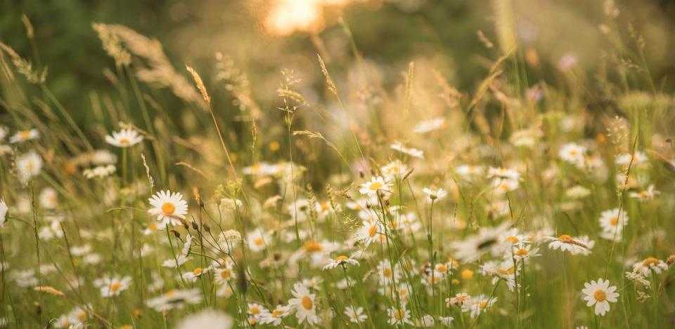 Foto di Andreas Kretschmer su Unsplash