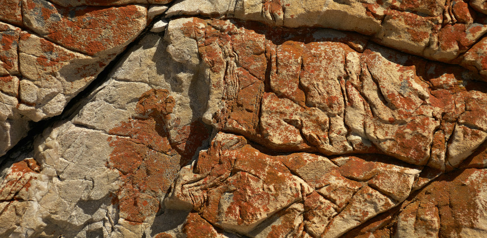 Foto di Wolfgang Hasselmann su Unsplash