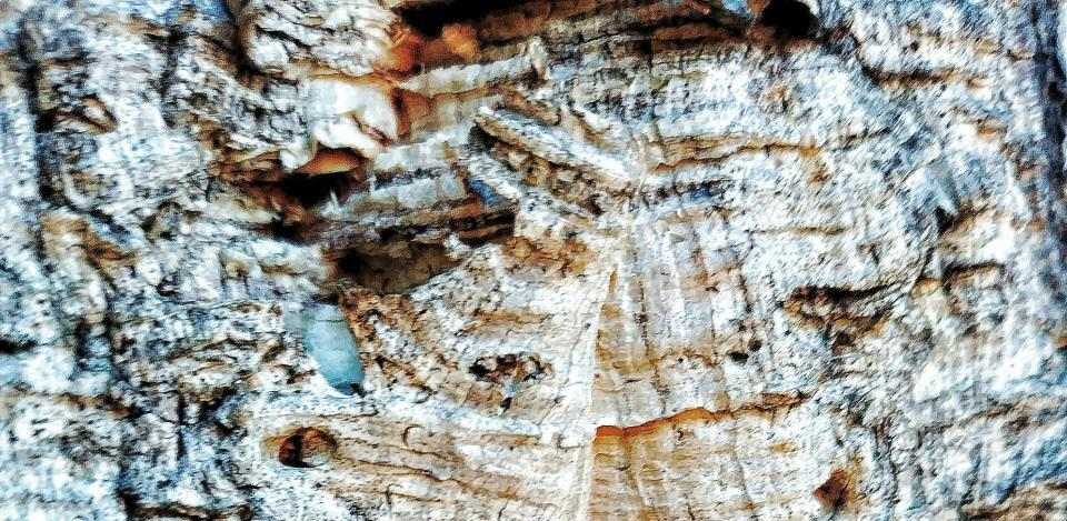 Foto di Carlos Garcia su Unsplash