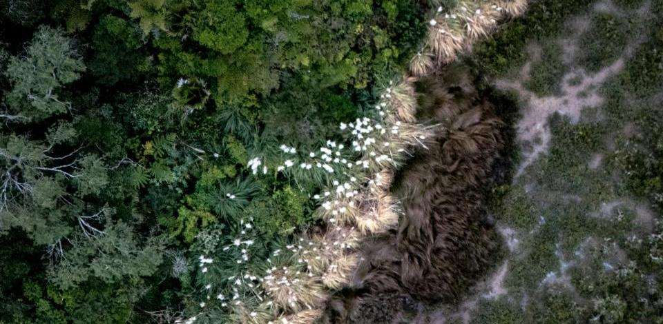 Foto di Look up look down photography su Unsplash